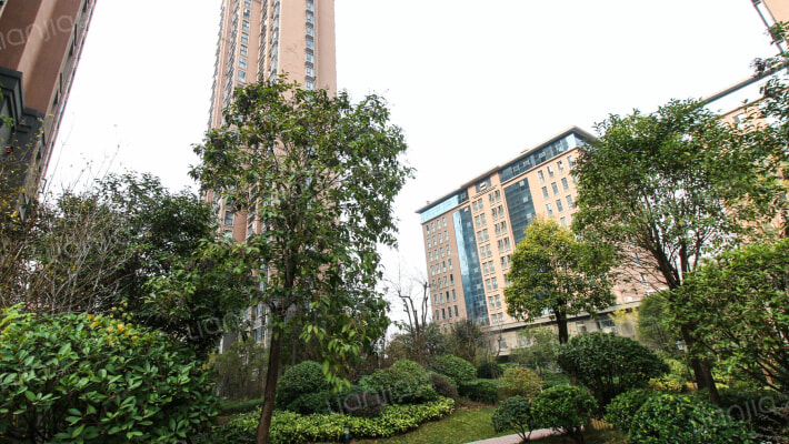 瑞贝卡新天下外景图