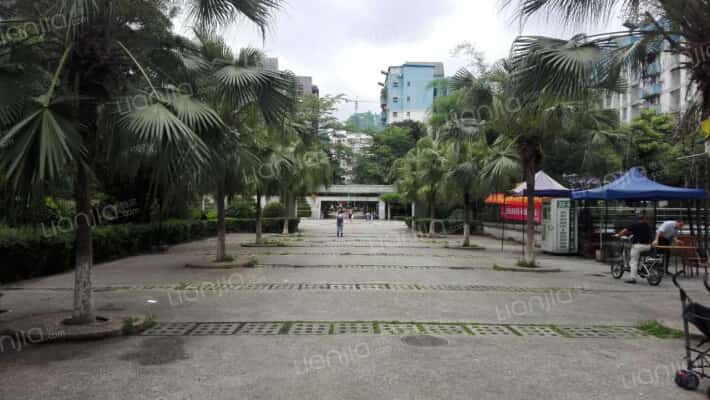 河畔花园外景图