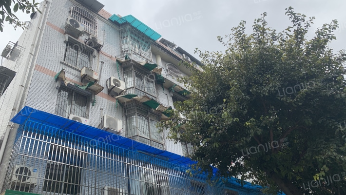 西南市街51号外景图