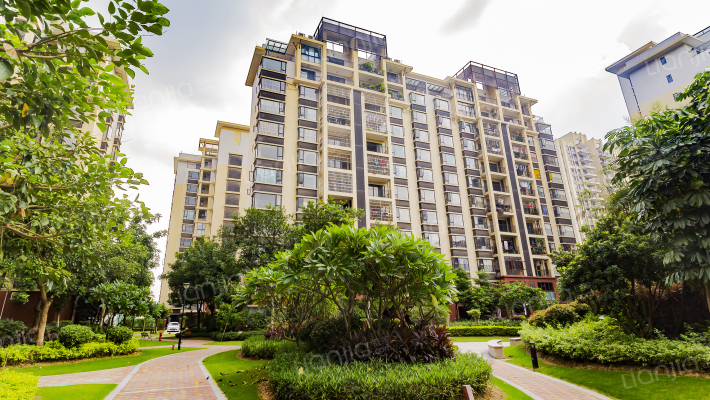 保利紫山国际花苑一期外景图