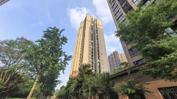 西永九号三组团外景图