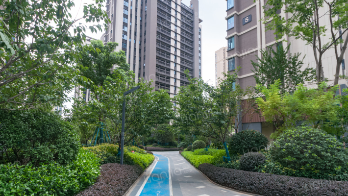 保利星宸外景图