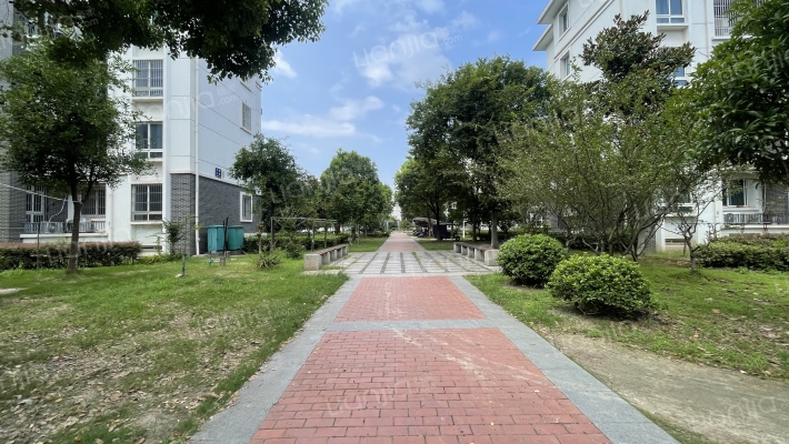 大南六村外景图