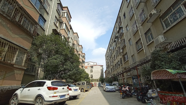 林工商公司家属院外景图