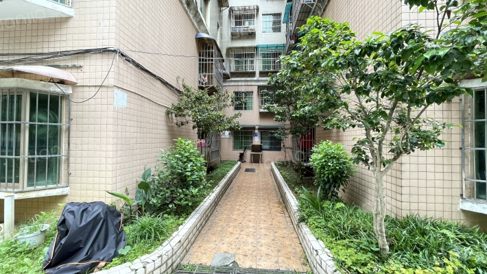 新兴花园外景图