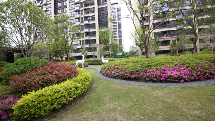 运河风华外景图