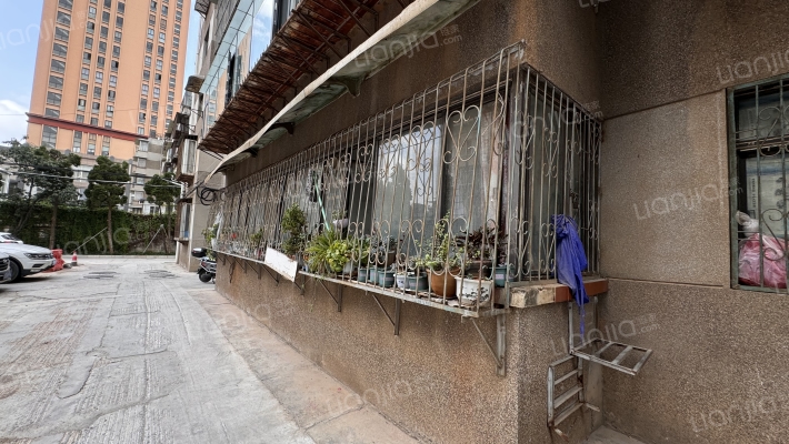 安康路151号外景图