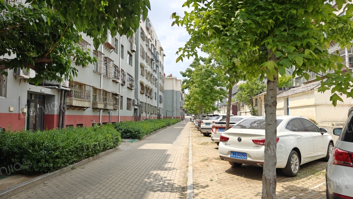 农大家属院（文化路小区）外景图