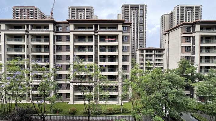 金科集美城外景图