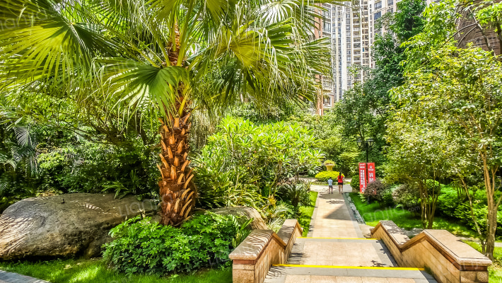 龙光普罗旺斯紫罗兰外景图