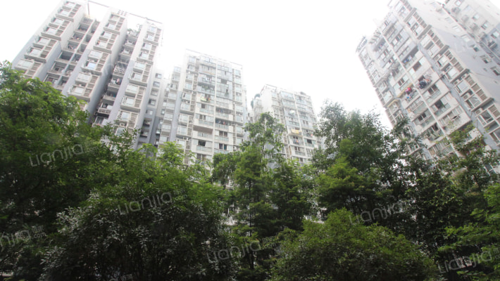 西城丽景外景图