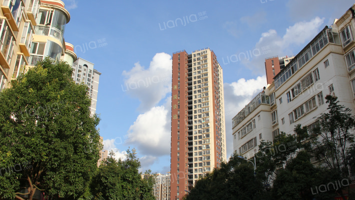 香缇玫瑰外景图