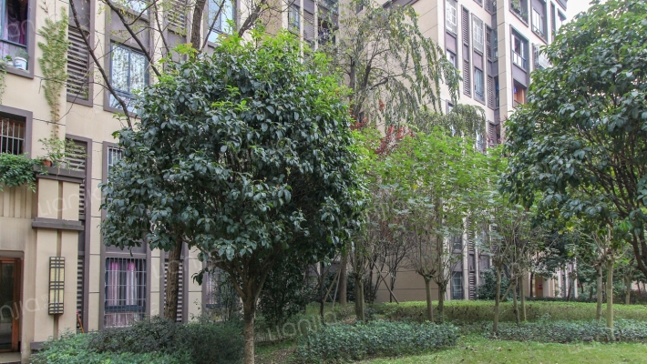 泽瑞琥珀天成外景图