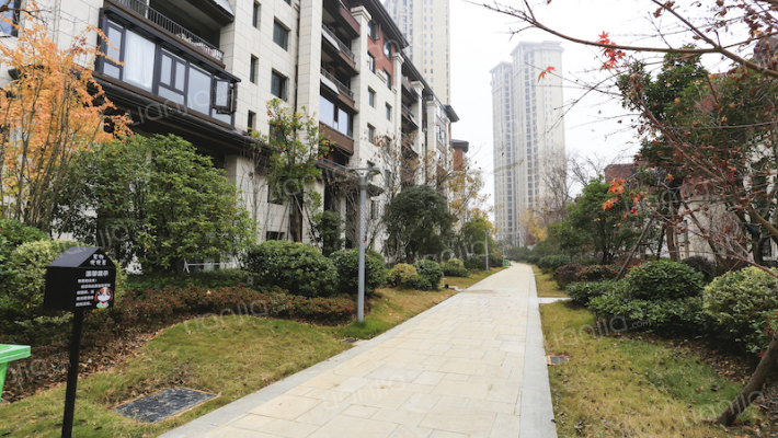 楚天都市沁园外景图