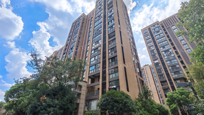 金地林溪里外景图