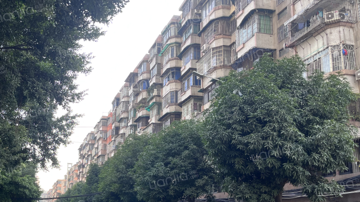 飞鹅西路外景图