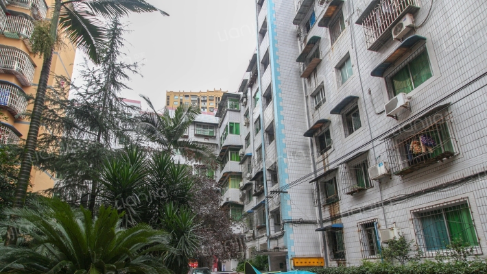 良种场家属院外景图