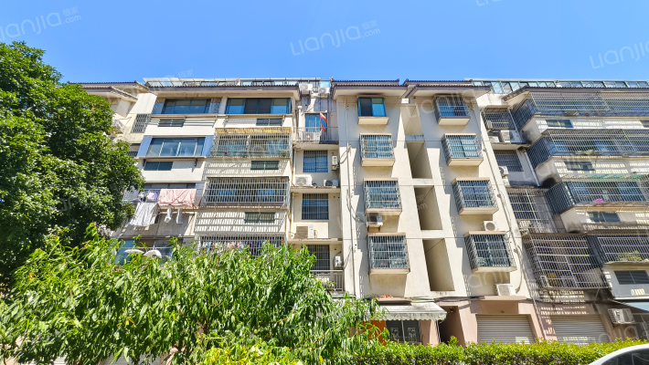 秀泾苑南区外景图