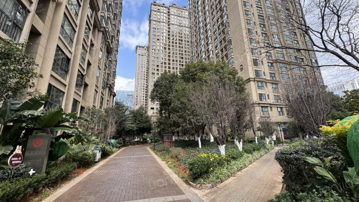 中昆医大广场外景图