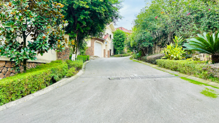 塑皇观云邸外景图