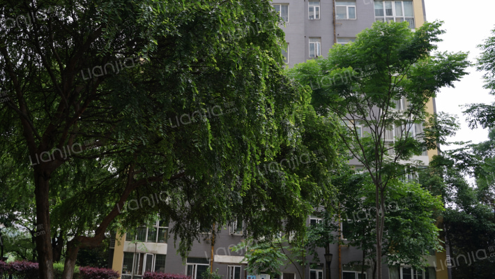 天鸿天福外景图