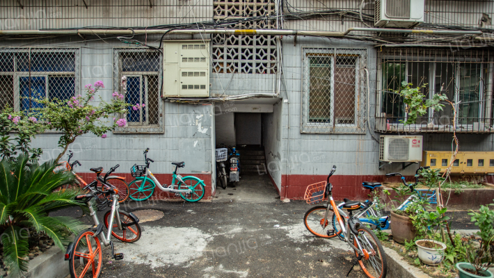 东方经典花园外景图