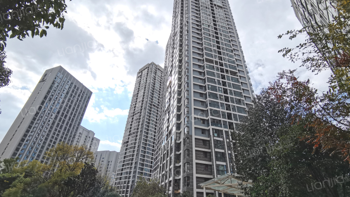 银杏金川外景图