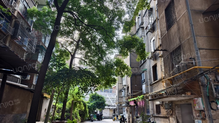 新码头路42号外景图