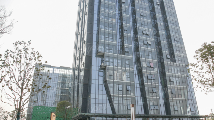 大成莲创外景图