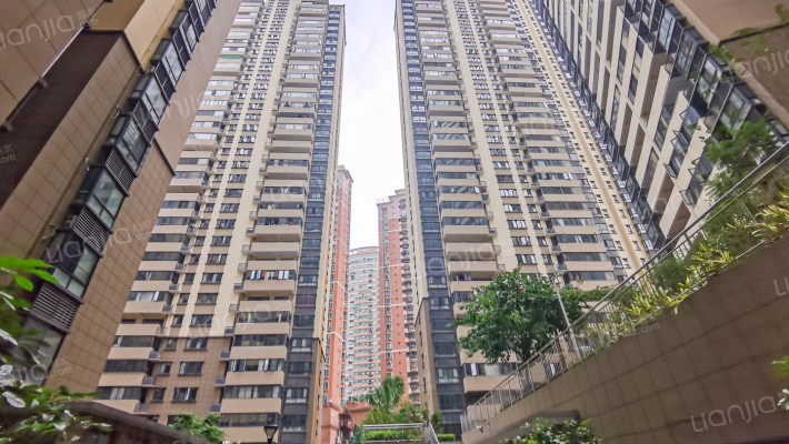 新民路六十五号小区外景图