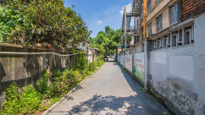 湖州市吴兴区月河街道图片