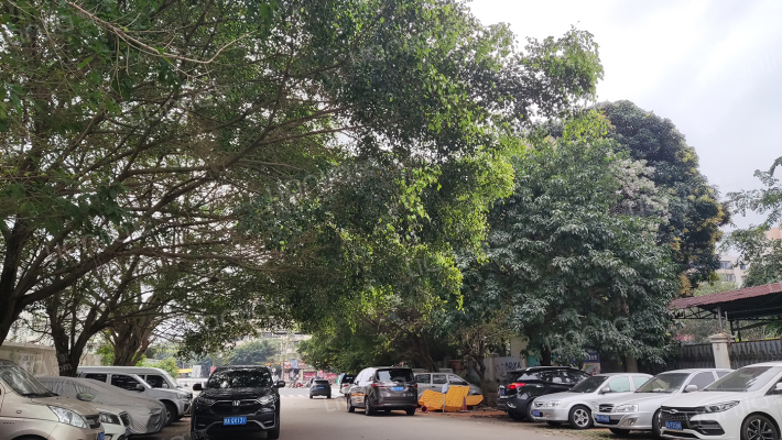 茶叶小区外景图