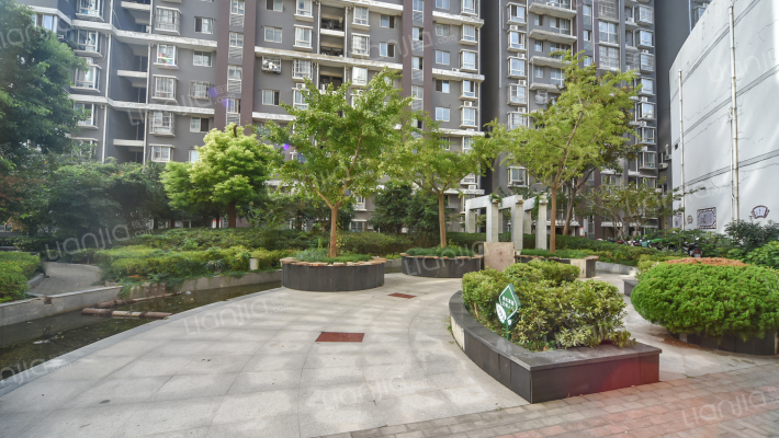 芝林广场外景图