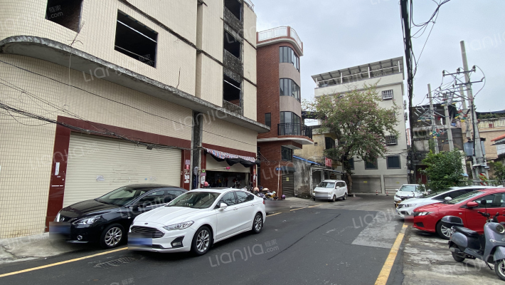 狮山东路外景图