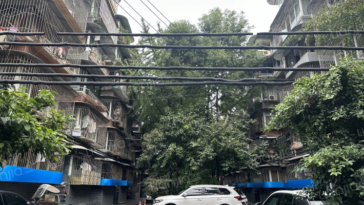 蓓蕾东巷1号外景图