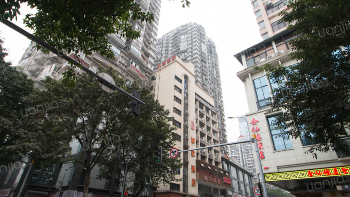 金禾丽都外景图