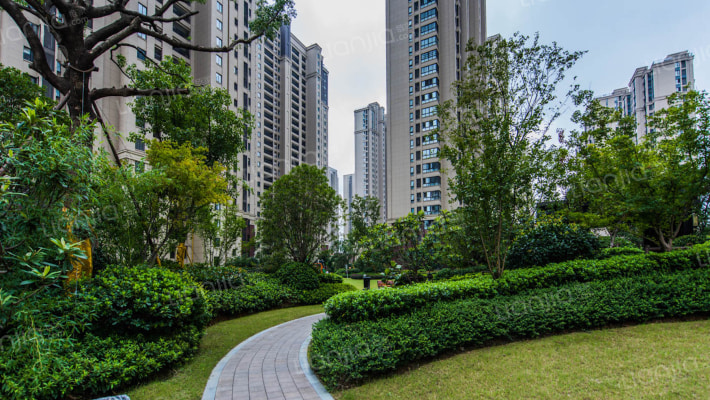 万科森林公园外景图