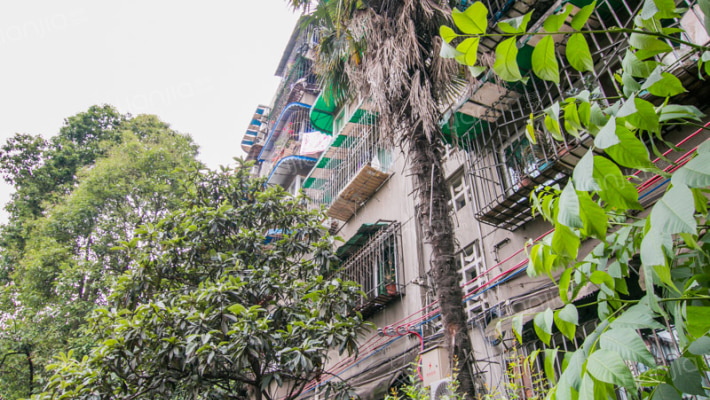 建国巷1号外景图