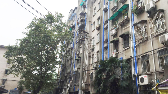 紫竹林21号外景图