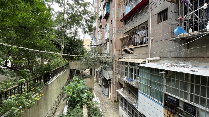 鸿雁巷35号外景图