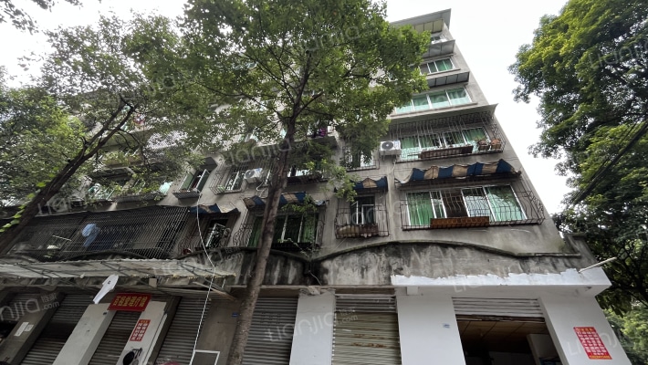 华侨商业城外景图