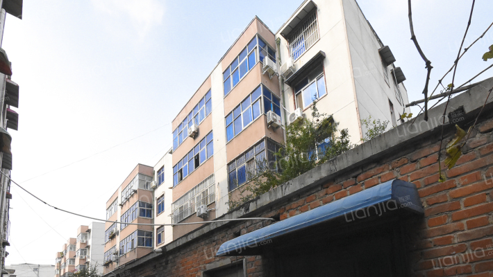 蔬菜公司家属院东院外景图