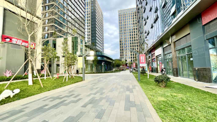 艺城PGC紫金中心外景图