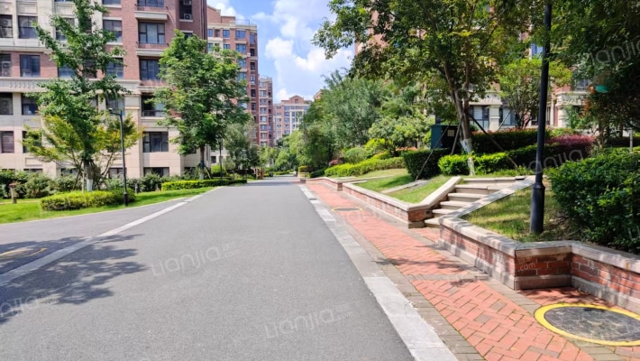 湖光晨樾外景图