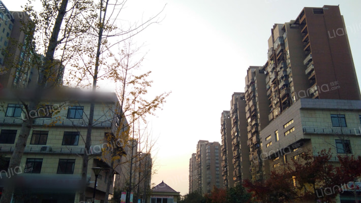 临湖社区如园外景图