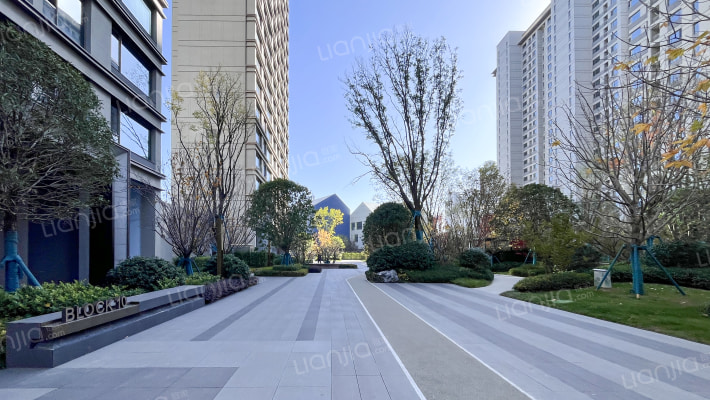 新希望锦麟天玺外景图