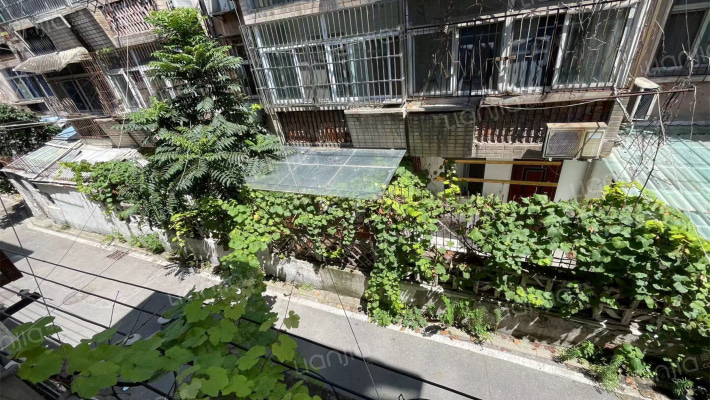 长江路262号外景图