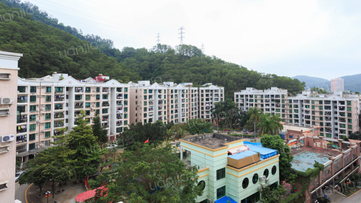 加洲花园外景图