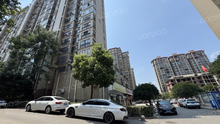 中鼎江岸花城外景图