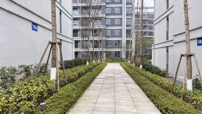 禹州博学家二期外景图